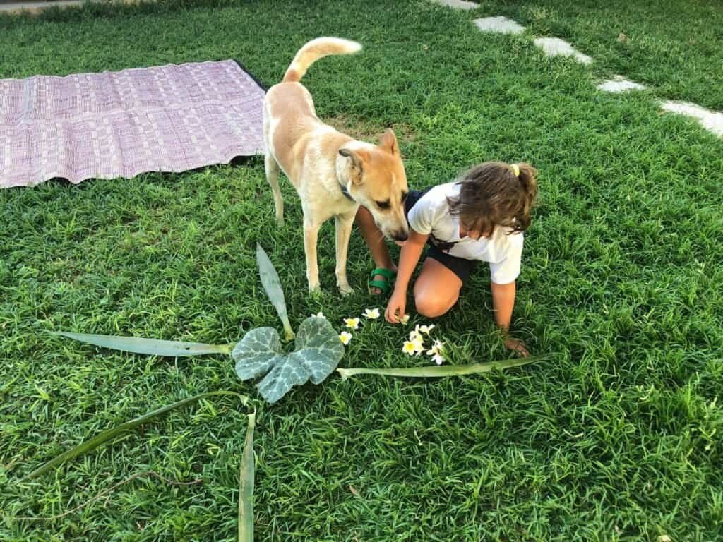 יצירת מנדלה ביום הולדת בטבע.